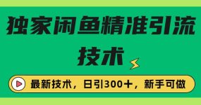 独家闲鱼引流技术，日引300＋实战玩法