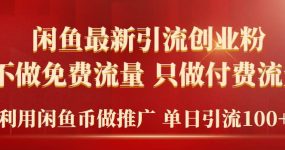 2024年闲鱼币推广引流创业粉，不做免费流量，只做付费流量，单日引流100+