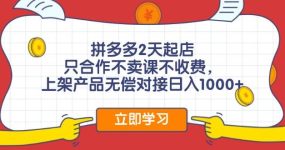 拼多多2天起店，只合作不卖课不收费，上架产品无偿对接日入1000+