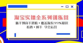 淘宝实操全系列训练营 新手到高手进阶·覆盖·99%知识 看透·对手 学会运营