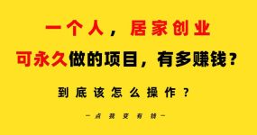 一个人，居家创业：B站每天10分钟，单账号日引创业粉100+，月稳定变现5W…