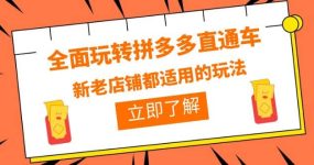 全面玩转拼多多直通车，新老店铺都适用的玩法（12节精华课）