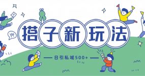 最新搭子玩法4.0-日引私域500+不违规