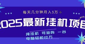 2025最新纯挂机项目 每天几分钟 月入3万➕ 可矩阵