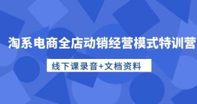 淘系电商全店动销经营模式特训营，线下课录音+文档资料