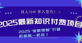2025最新知识付费项目 实现月入十万，年入百万！