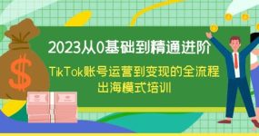 2023从0基础到精通进阶，TikTok账号运营到变现的全流程出海模式培训