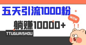 5天引流1000+，赚了1w+