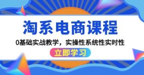 淘系电商课程，0基础实战教学，实操性系统性实时性（15节课）