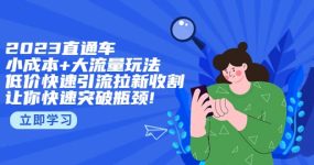 2023直通小成本+大流量玩法，低价快速引流拉新收割，让你快速突破瓶颈