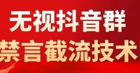 抖音粉丝群无视禁言截流技术，抖音黑科技，直接引流，0封号（教程+软件）