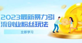 2023最新暴力引流创业粉丝玩法，单日被动引流50+创业粉