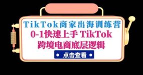TikTok商家出海训练营：0-1快速上手 TikTok跨境电商底层逻辑(无水印)