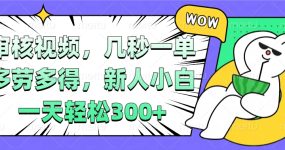 视频审核项目，几秒一单，多劳多得，新人小白一天轻松300+