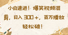 小白速进！爆笑视频混剪，日入 300 +，百万播放轻松破！