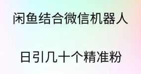 闲鱼结合微信机器人，日引几十个精准粉