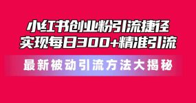 小红书创业粉引流捷径！最新被动引流方法大揭秘，实现每日300+精准引流