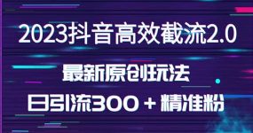 日引300＋创业粉，独家抖音高效截流2.0玩法（价值1280）
