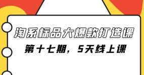 淘系标品大爆款打造课-第十七期，5天线上课
