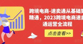 速卖通从0基础到精通，2023跨境电商-速卖通运营实战全流程