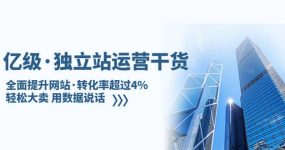 独立站运营干货：全面提升网站·转化率超过4%，轻松大卖 用数据说话