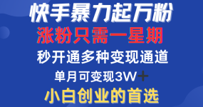 快手暴力起万粉，涨粉只需一星期！多种变现模式