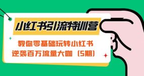 小红书引流特训营-第5期：教你零基础玩转小红书，逆袭百万流量大咖
