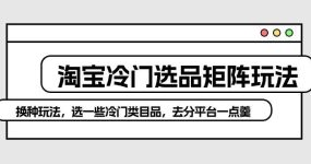 淘宝冷门选品矩阵玩法：换种玩法，选一些冷门类目品，去分平台一点羹