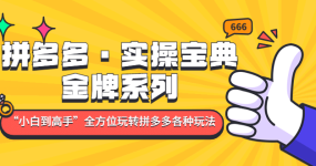 拼多多·实操宝典：金牌系列“小白到高手”带你全方位玩转拼多多各种玩法