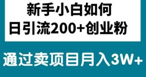 新手小白日引流200+创业粉,通过卖项目月入3W+
