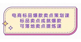 电商标品爆款卖点策划课，标品卖点成就爆款，可落地卖点提炼课