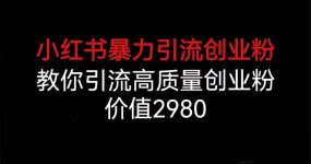 小红书暴力引流创业粉，教你引流高质量创业粉，价值2980
