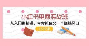 小红书电商实战班，从入门到精通，带你抓住又一个赚钱风口（16节）