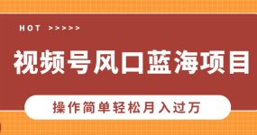 视频号风口蓝海项目，中老年人的流量密码，操作简单轻松月入过万