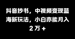 抖音抄书，中视频变现蓝海新玩法，小白亦能月入 2 万 +