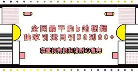 全网最干的b站视频独家引流日引50到80+流量视频很长请耐心看完