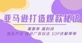 亚马逊打造爆款秘诀：高客单 高利润 推品方法 类目广告玩法 SOP详解等等