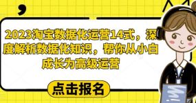 2023淘宝数据化-运营 14式，深度解析数据化知识，帮你从小白成长为高级运营