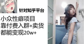 知乎小众性癖项目，Lsp的钱才是最好赚的，付费建群+卖货变现20w