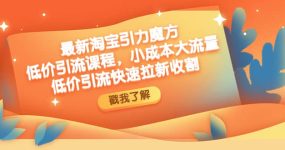 最新淘宝引力魔方低价引流实操：小成本大流量