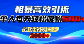 粗暴高效引流,单人每天轻松吸粉500+,轻松突破日入2000+