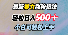 最新暴力涨粉玩法，轻松日入500＋，小白可轻松上手