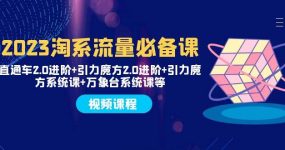 2023淘系流量必备课 直通车2.0进阶+引力魔方2.0进阶+引力魔方系统课+万象台