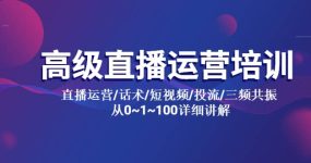 高级直播运营培训 直播运营/话术/短视频/投流/三频共振 从0~1~100详细讲解
