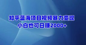 知乎蓝海项目视频暴力变现  小白也可日赚2000+
