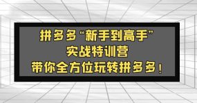 拼多多“新手到高手”实战特训营：带你全方位玩转拼多多