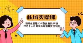 私域实战课程：精细化管理SOP 裂变 复购 转粉 打造个人IP 私域增量变现问题