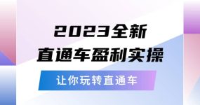 2023全新直通车·盈利实操：从底层，策略到搭建，让你玩转直通车
