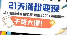 21天精准涨粉变现干货大课：从10位粉丝开始变现 月增5000+