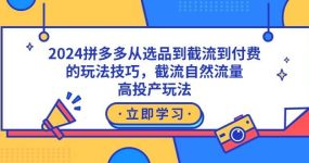 2024拼多多从选品到截流到付费的玩法技巧，截流自然流量玩法，高投产玩法